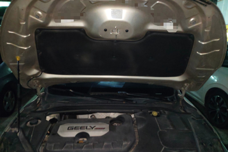 Emgrand GL 2017 car image #22