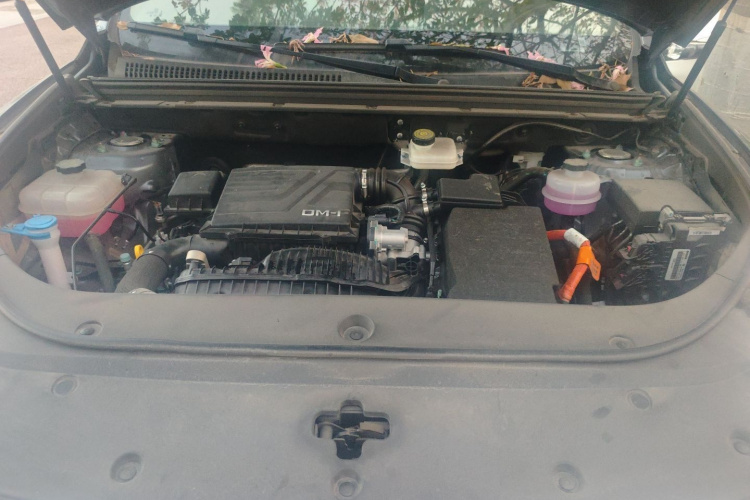 BYD Song Pro New Energy 2025 #22 BYD Song Pro New Energy 2025 image de voiture #22