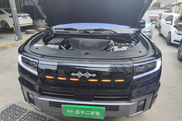 FangChengBao Leopard 8 2025 car image #22