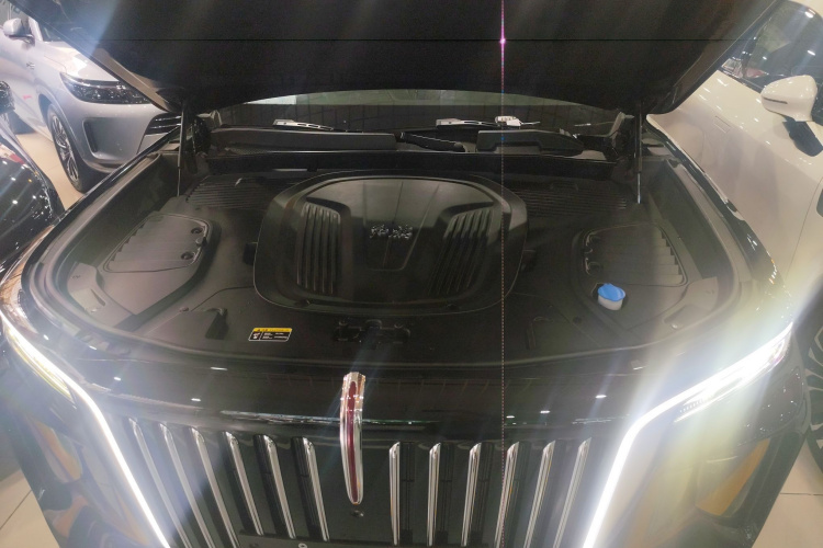 HongQi E-HS9 2021 immagine di auto #22