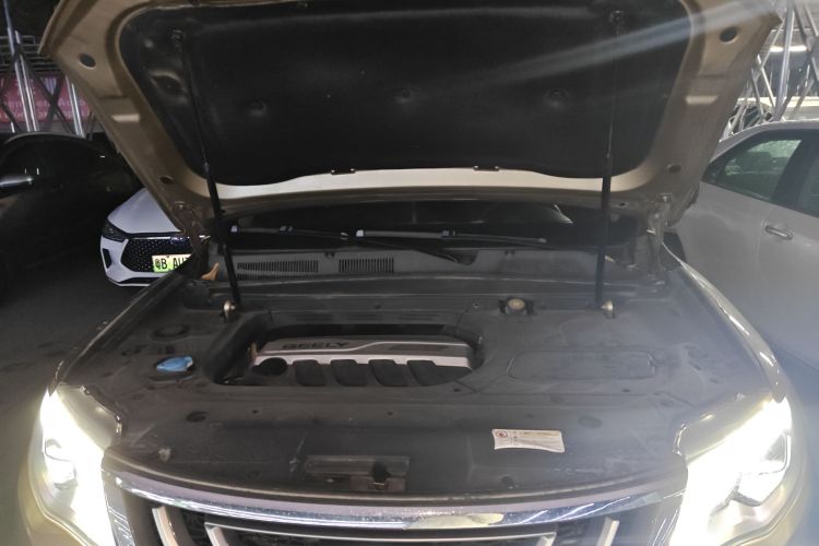 GEELY Boyue 2017 imagen de coche #22