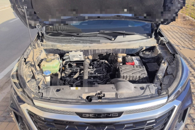 Beijing X3 2019 immagine di auto #22