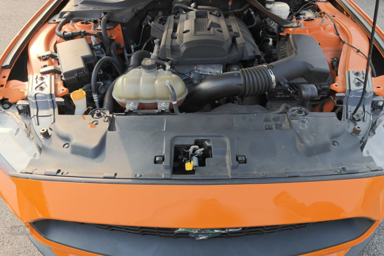 Ford Mustang 2019 immagine di auto #22