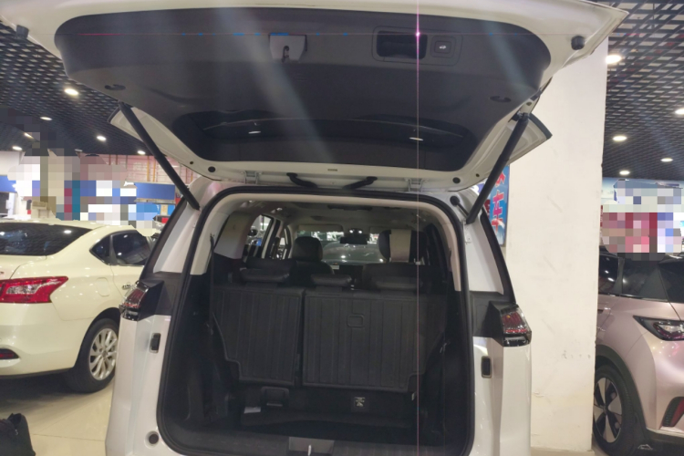 GAC Trumpchi E8 New Energy 2023 car image #22