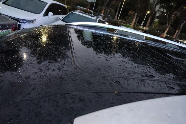 GAC Trumpchi GS8 2018 #22 GAC Trumpchi GS8 2018 car image #22