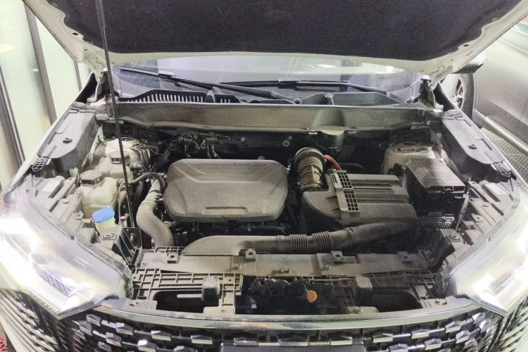 Haval H6 2022 immagine di auto #22