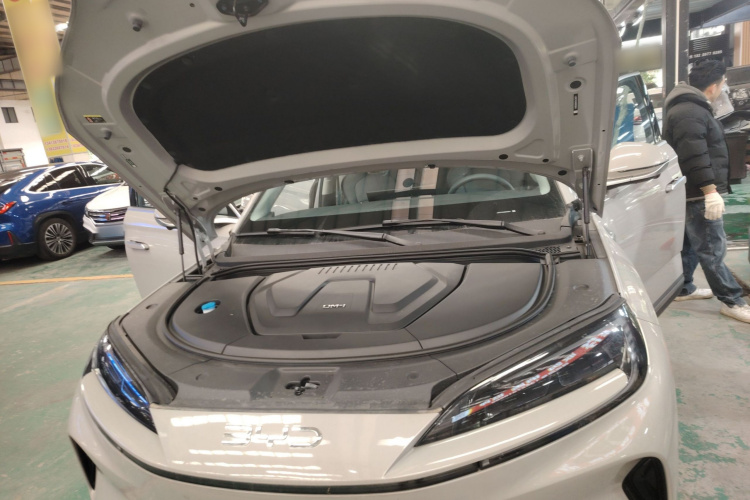 BYD Sea Lion 07 DM-i 2025 car image #22