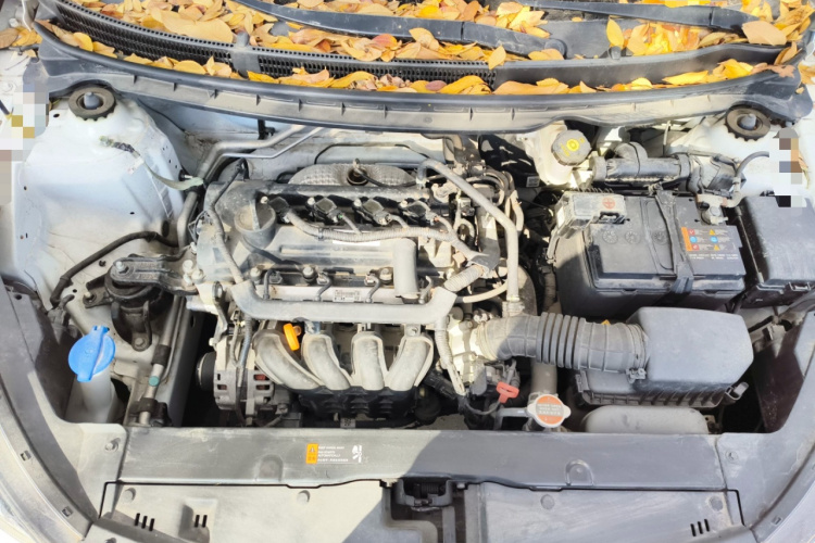 起亚 焕驰 2022 汽车图片 #22