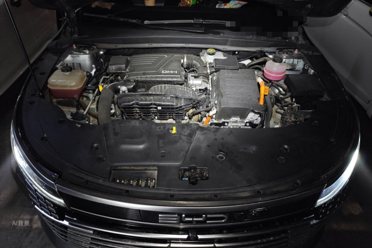 比亚迪 驱逐舰05 2024 汽车图片 #22