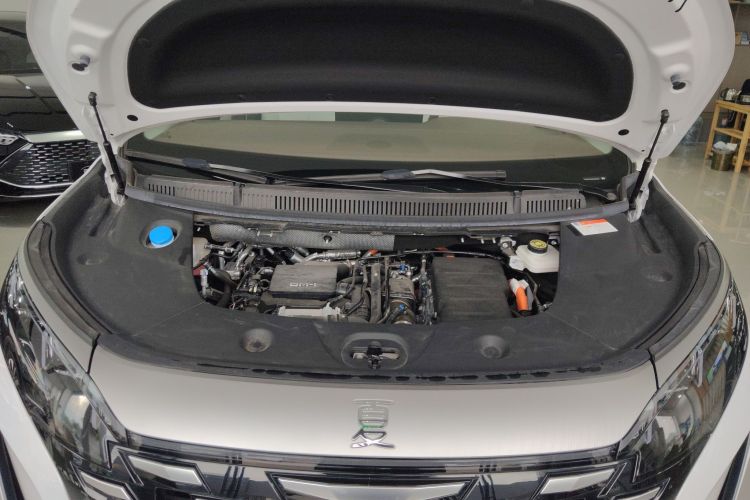 BYD Xia 2024 car image #22