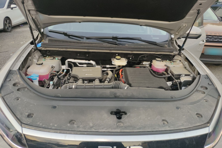 BYD Sea Lion 05 DM-i 2025 car image #22