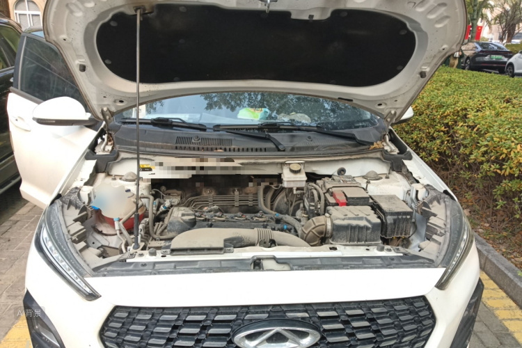 Tiggo 3x 2021 car image #22