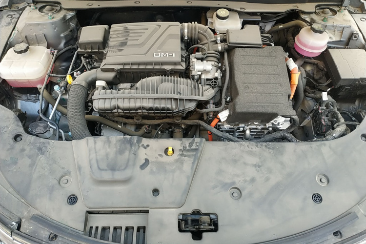BYD Destroyer 05 2024 car image #22