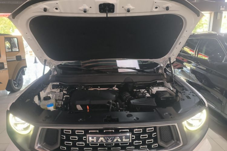 Haval Dargo 2 2023 صورة سيارة #22