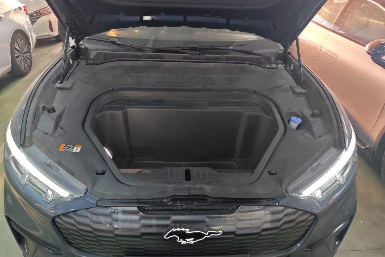 Ford Mustang Mach-E 2023 car image #22