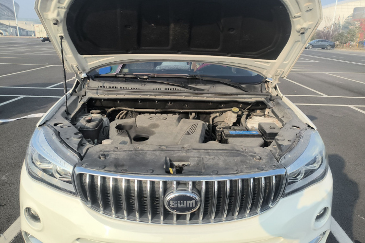 SWM X7 2021 #22 SWM X7 2021 صورة سيارة #22