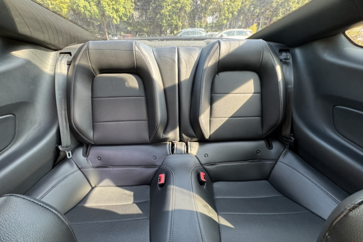 Ford Mustang 2020 car image #22