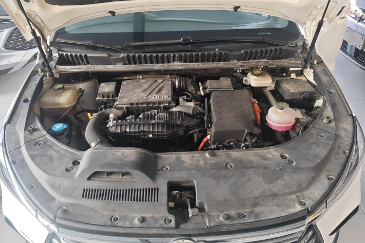 BYD Song MAX New Energy 2023 immagine di auto #22