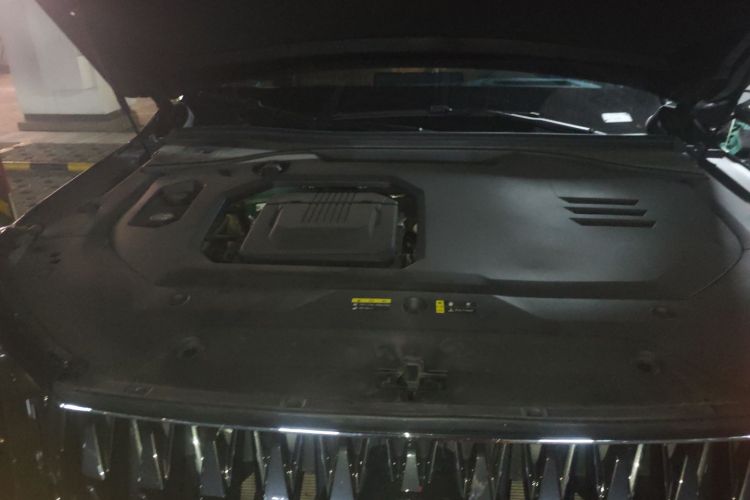 GAC Trumpchi ES9 2023 #22 GAC Trumpchi ES9 2023 car image #22