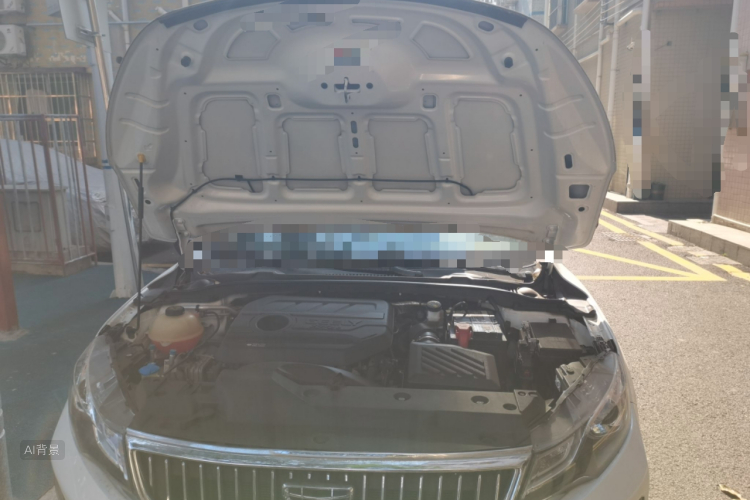 GEELY Emgrand GL 2021 car image #22