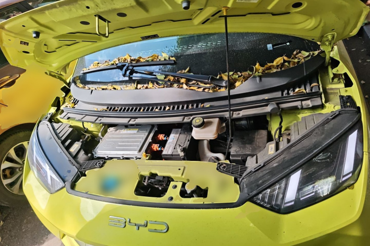 BYD Seagull 2023 car image #22