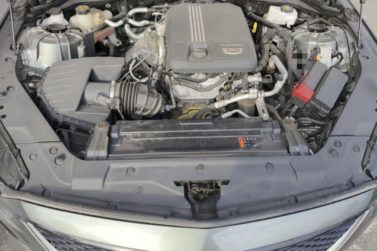 2023 #22 2023 car image #22