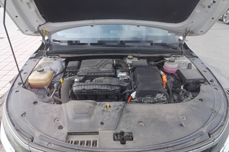 BYD Destroyer 05 2024 car image #22