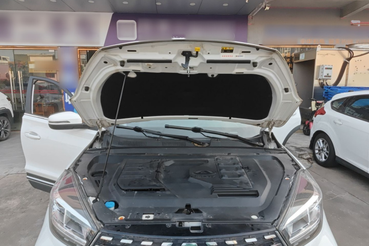 Tiggo 5x 2020 car image #22