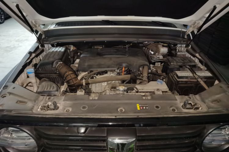 Tank 300 2021 #22 Tank 300 2021 car image #22