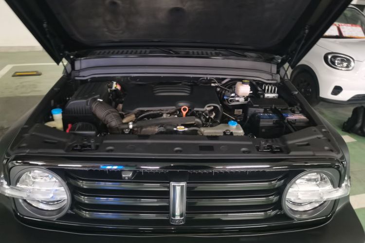 Tank 300 2021 #22 Tank 300 2021 car image #22