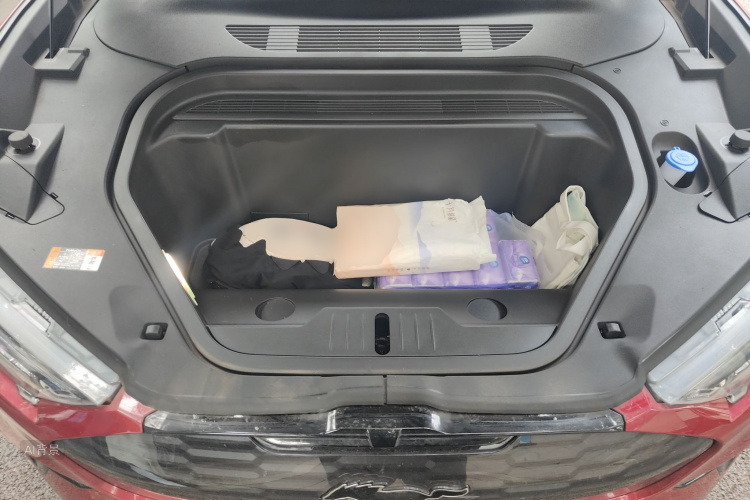 Ford Mustang Mach-E 2024 car image #22