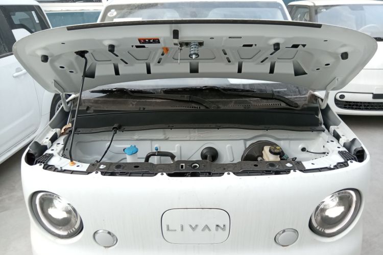 Livan 2025 immagine di auto #22