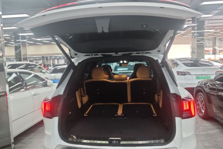 Lynk & Co 09 EM-P 2022 car image #22