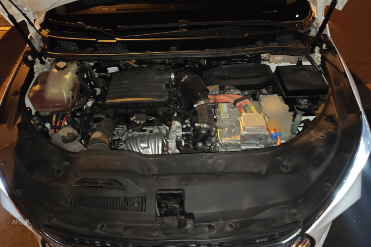BYD 2019 car image #22