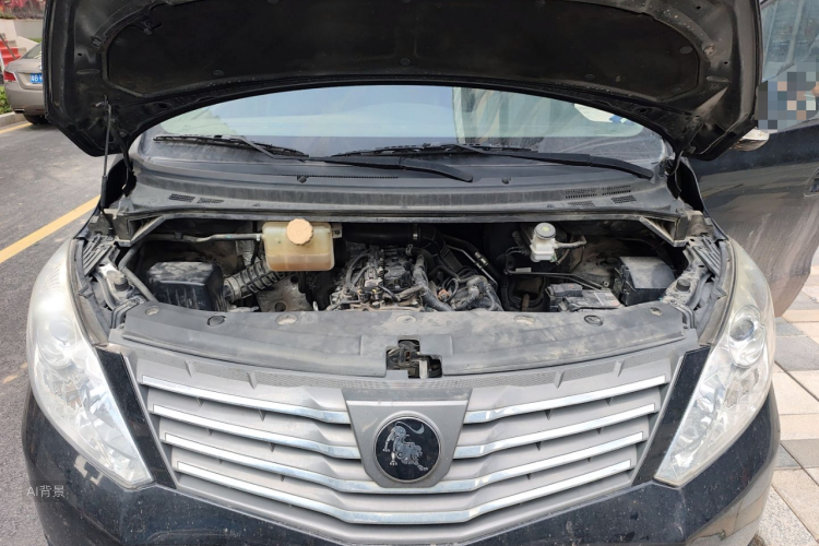 Forthing Lingzhi PLUS 2022 car image #22