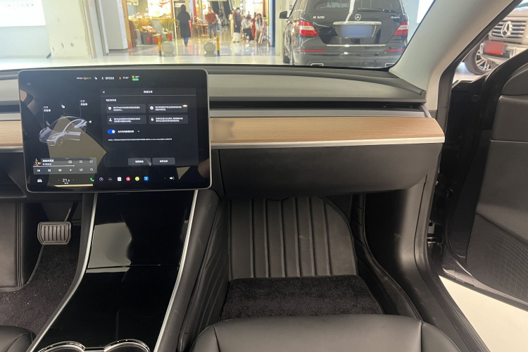 Tesla Model 3 2020 immagine di auto #22