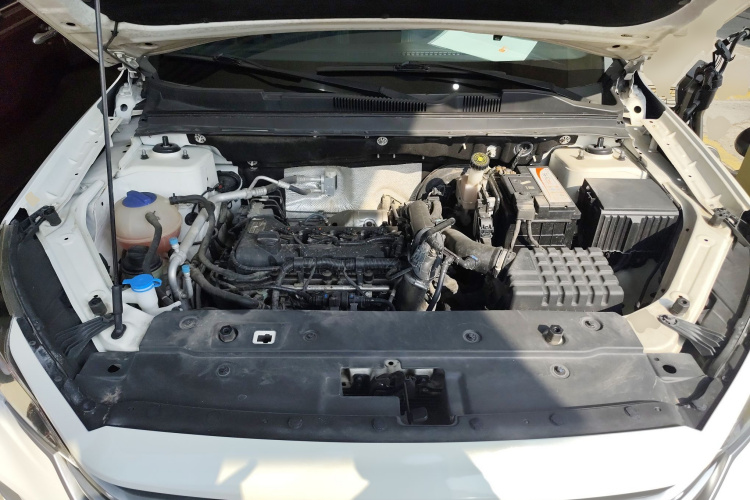 X70M 2020 car image #22