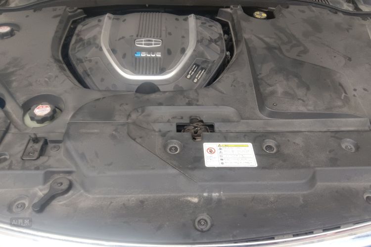 Emgrand GL New Energy 2019 car image #22