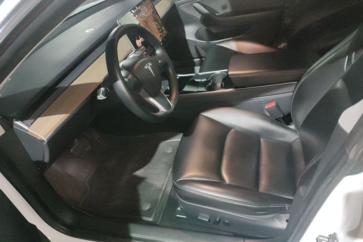Tesla Model 3 2020 #22 Tesla Model 3 2020 car image #22