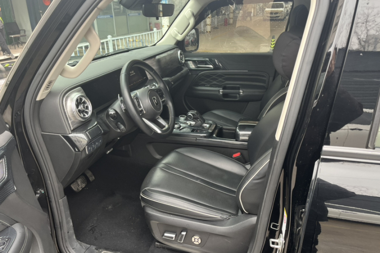 Tank 300 2021 car image #22