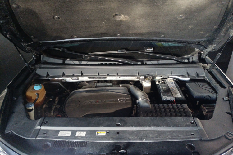 GAC Trumpchi GS8 2019 car image #22