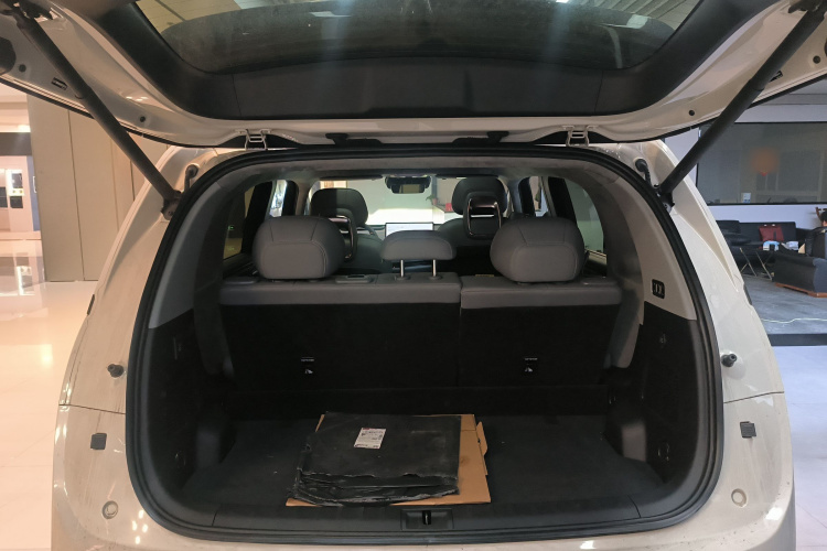 极氪 极氪MIX 2024 汽车图片 #22