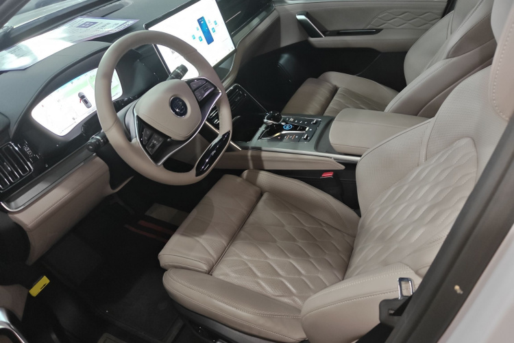 BYD Tang New Energy 2024 car image #22