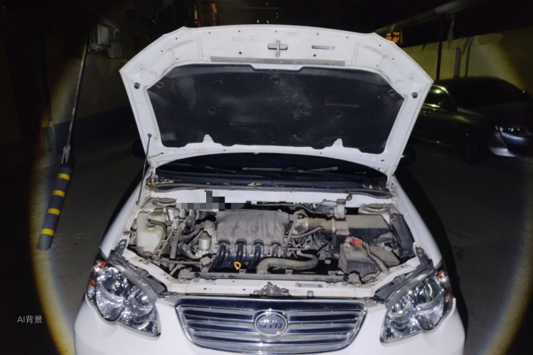 BYD F3 2018 car image #22