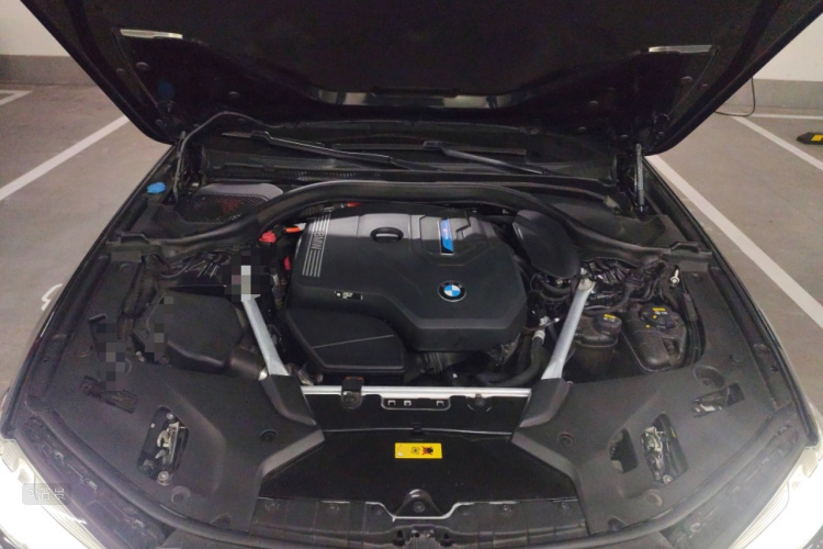 BMW 5 Series New Energy 2021 car image #22