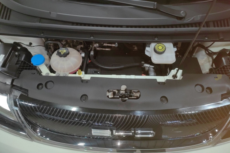 BYD Dolphin 2022 car image #22