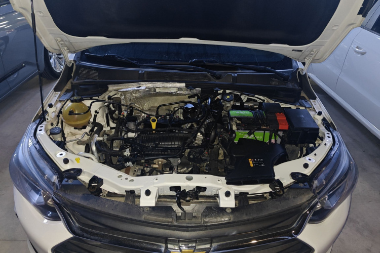 Chevrolet Cavalier 2021 car image #22