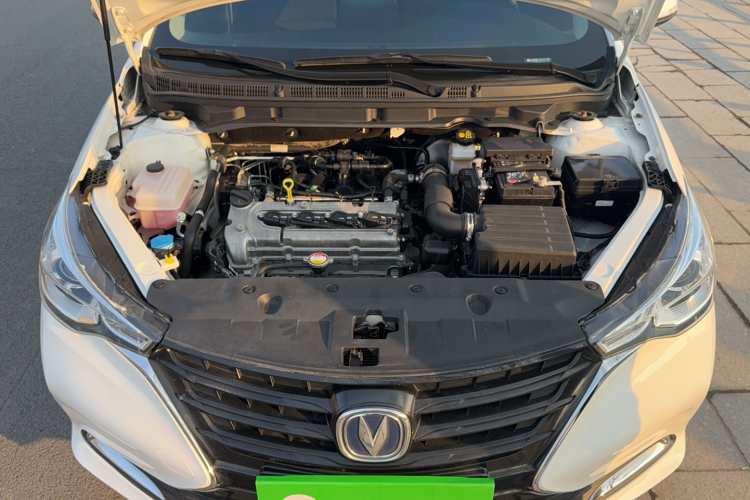 Changan Alsvin 2021 immagine di auto #22