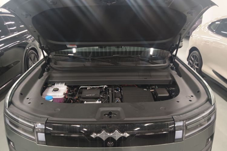 FangChengBao Tiger 7 2025 car image #22