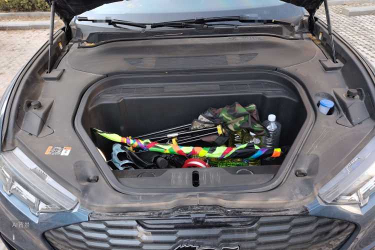 Ford Mustang Mach-E 2023 car image #22